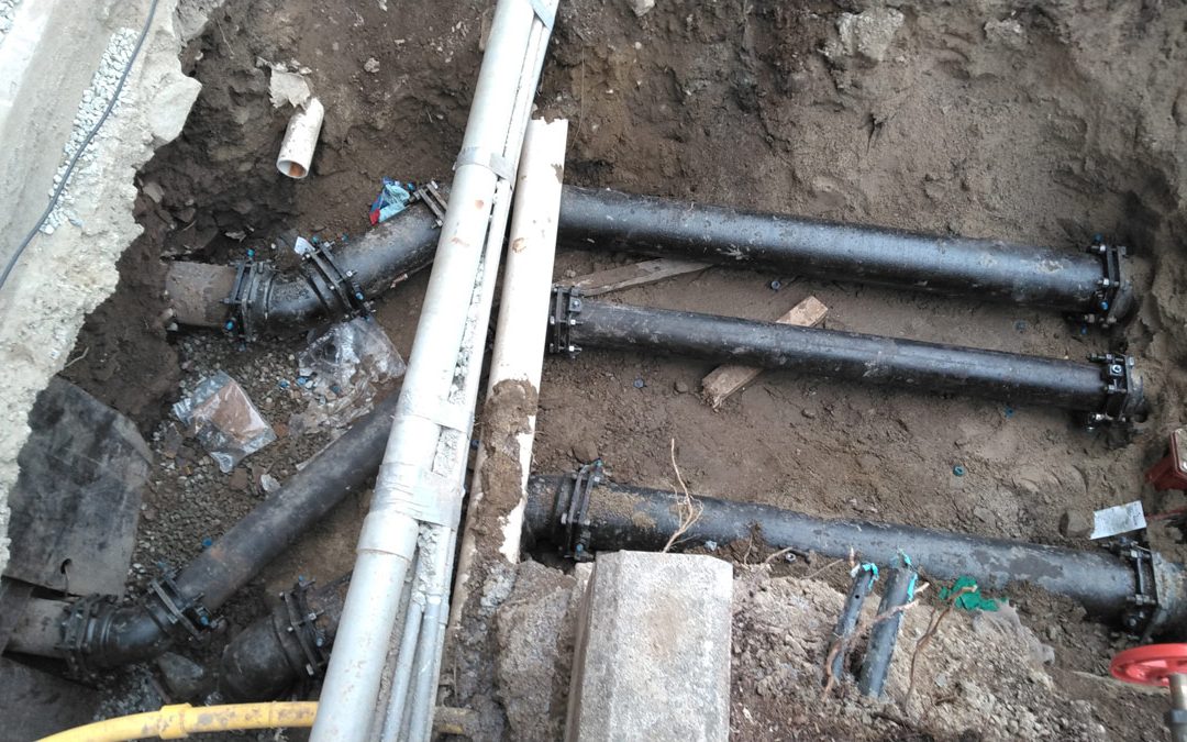 Avalon Eaves – Quincy